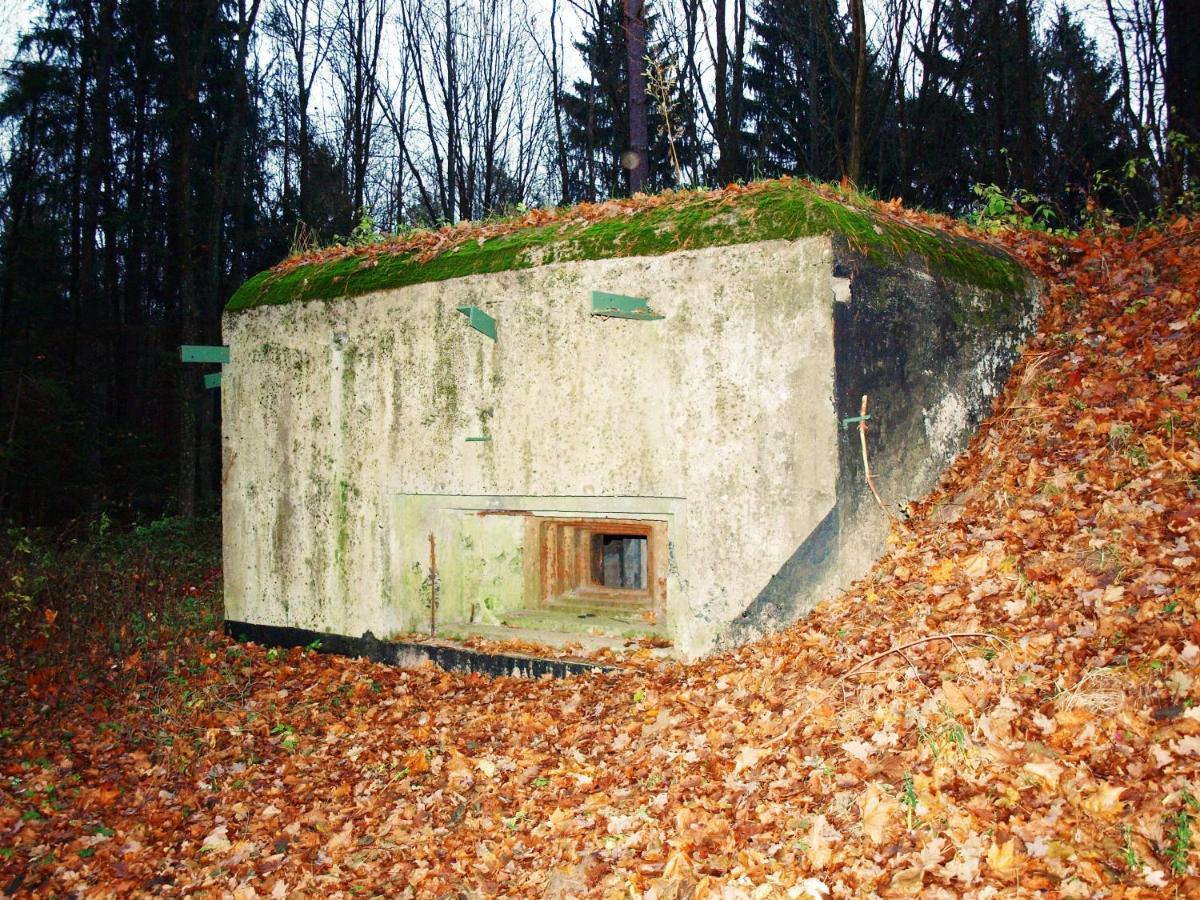 Biebrza24 - Agroturystyka Sztabin Exterior foto